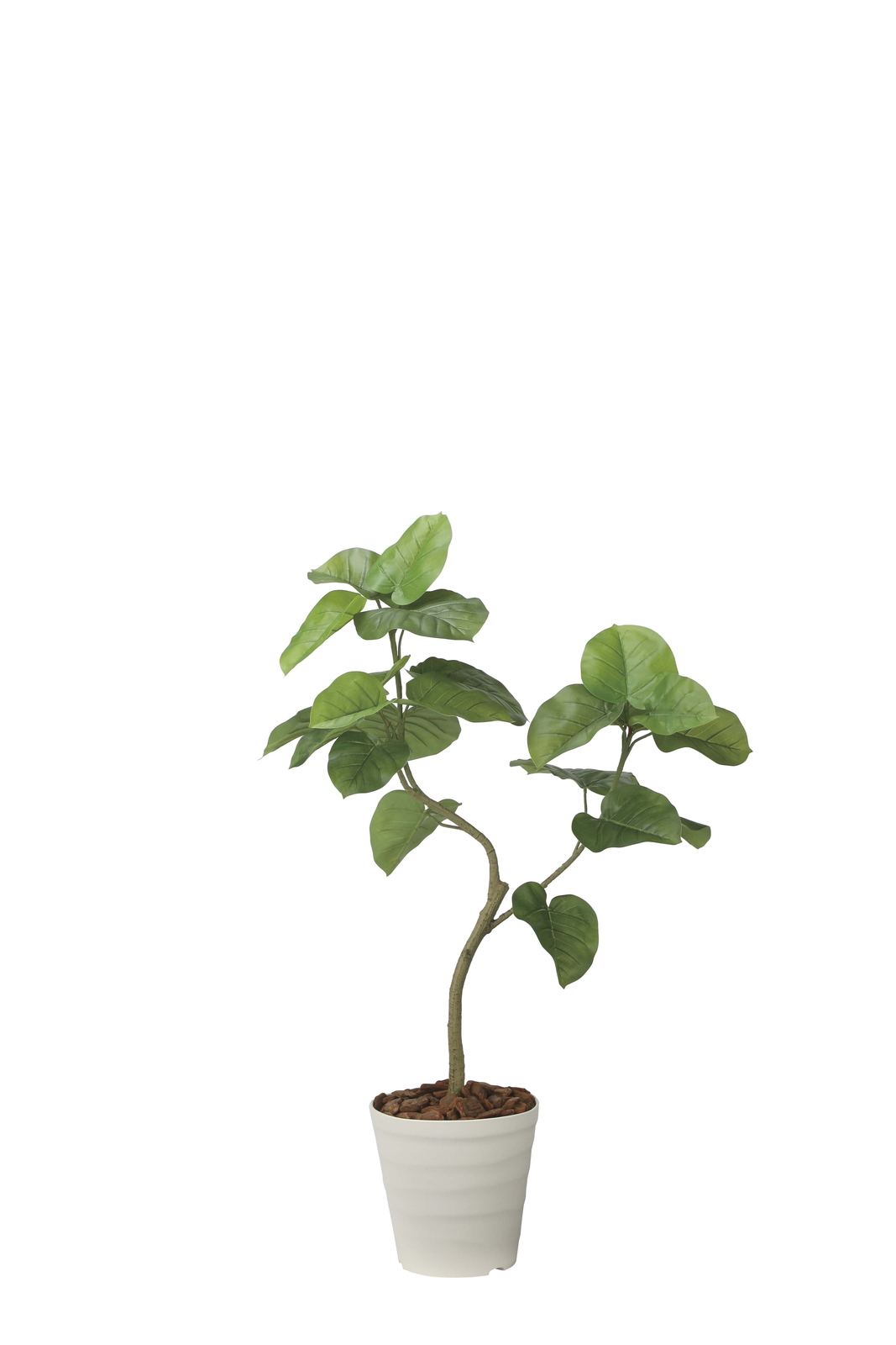 �y�ʓr�����z����װ�1.25