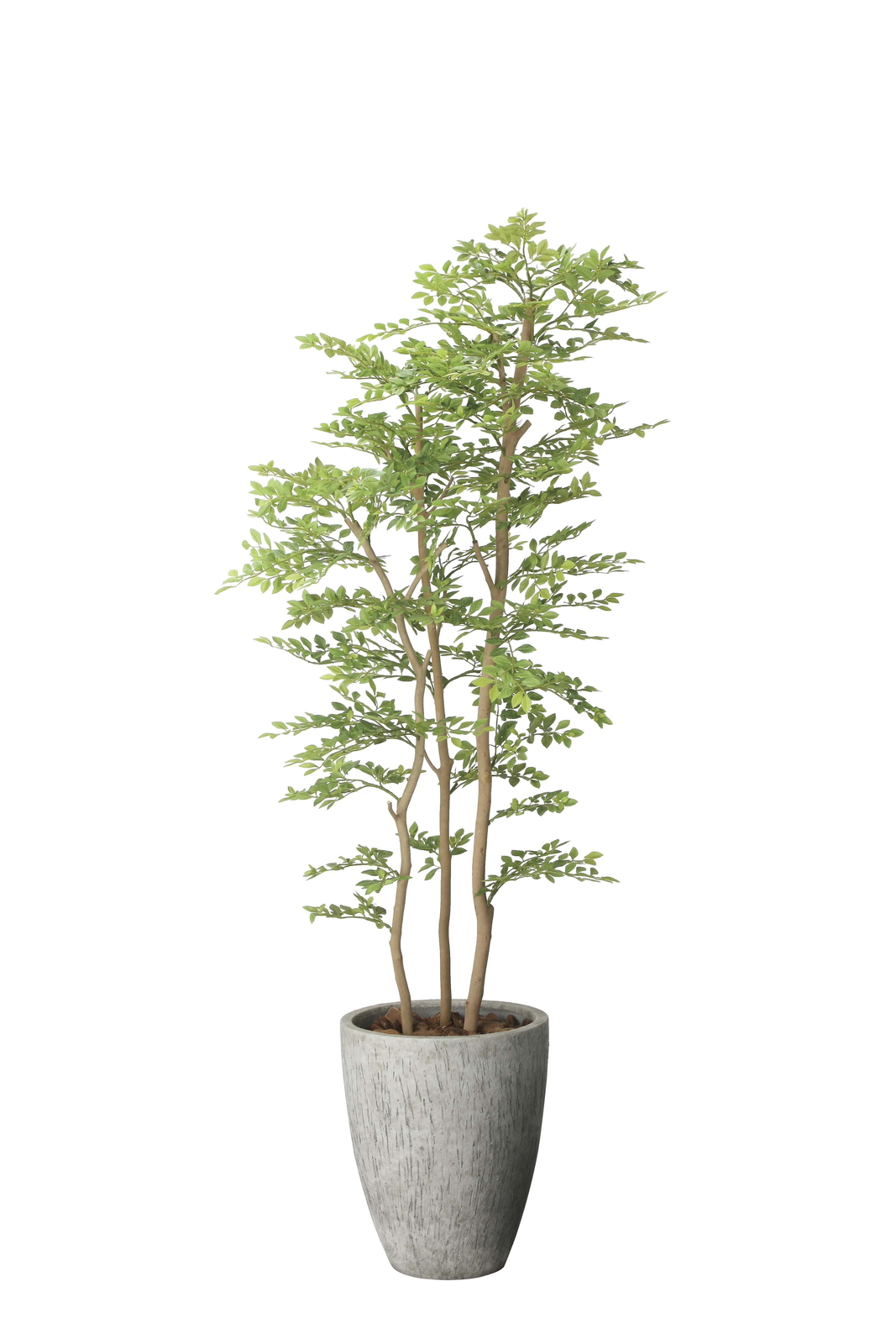 �y�ʓr�����z����ٺް����ذ�1.8