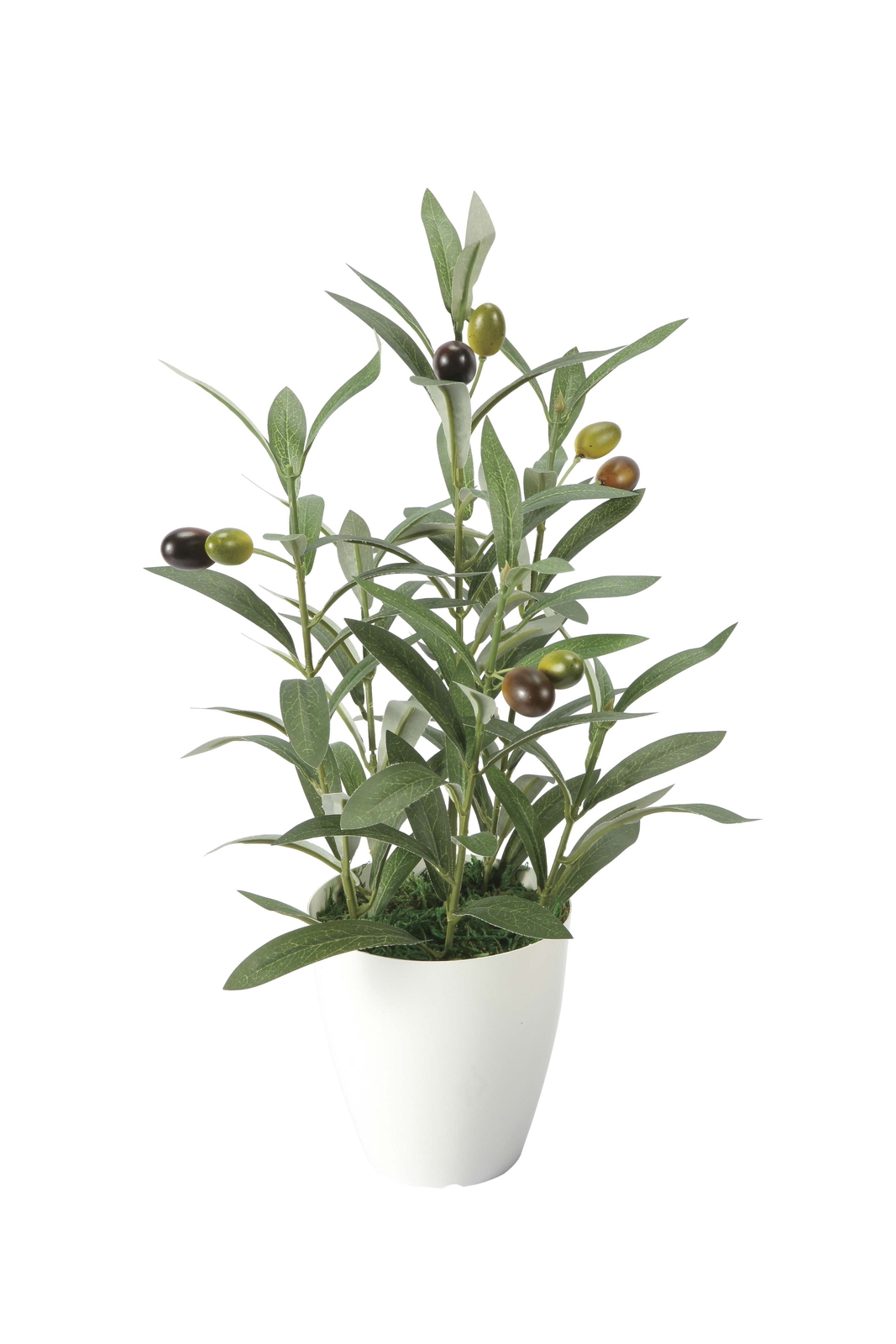 �y�ʓr�����z�ذ��S