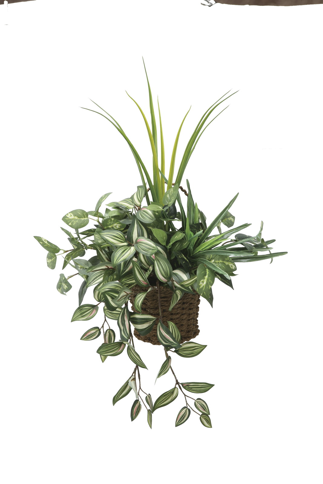 【別途送料】壁掛けナチュラルグラス