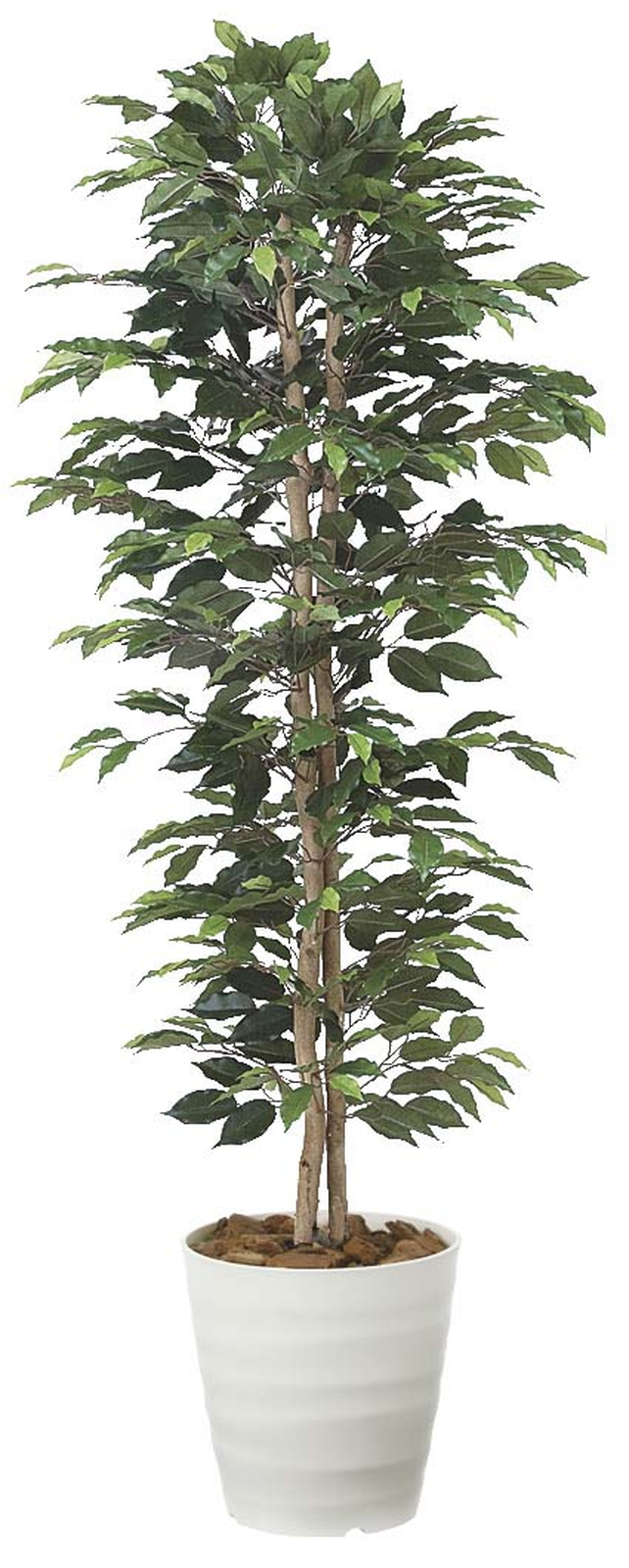 �y�ʓr�����z��ݼެ�ݽ��1.6