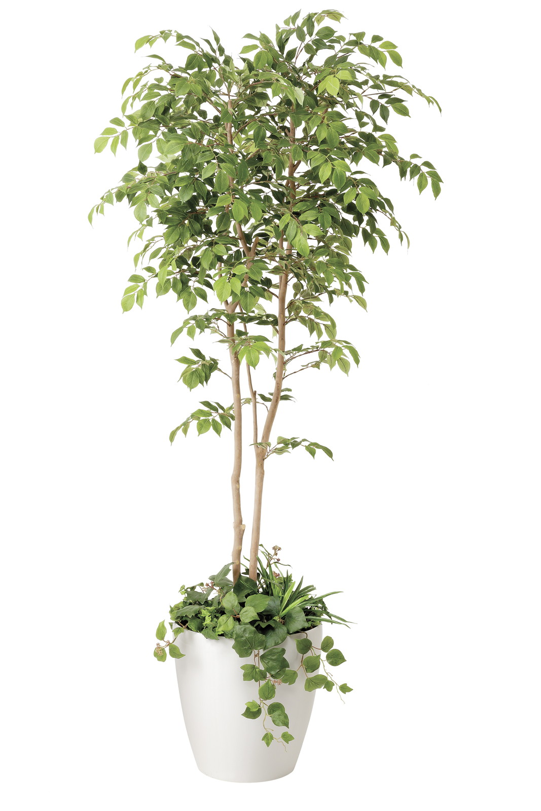 �y�ʓr�����z�V�i��YAT408R650�@ϳ��ݱ���1.8�A�͕t