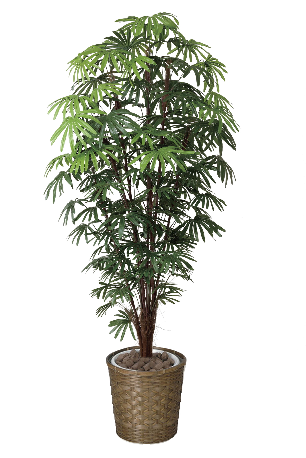 �y�ʓr�����z�����1.8