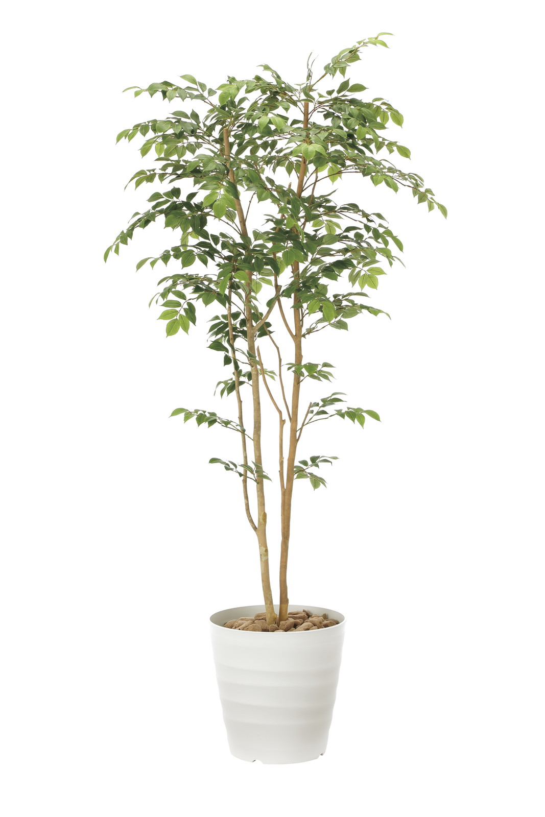 �y�ʓr�����z�V�i��YAT900R480�@ϳ��ݱ���1.8
