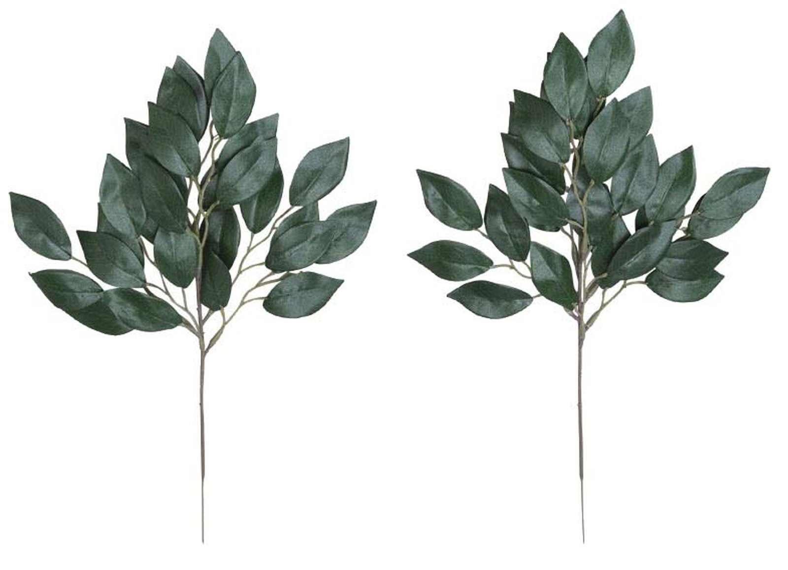 �y�ʓr�����z�召4�{���