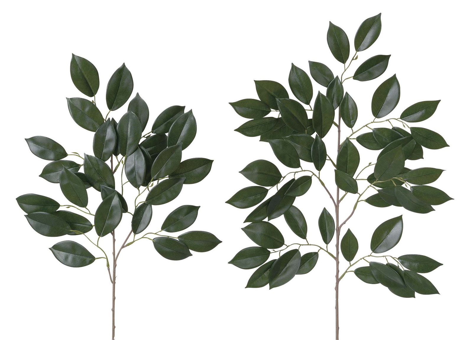 �y�ʓr�����z�� �咆4�{���