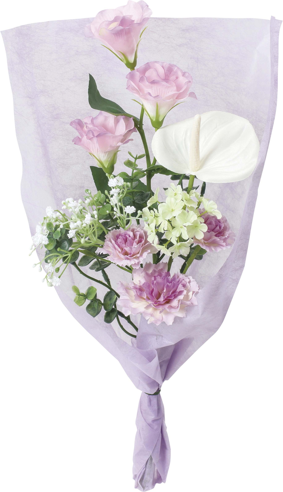 �Ӳ�����޶�Ȱ���