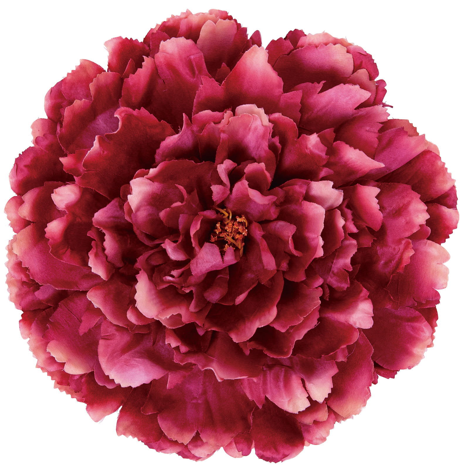 �y�l��z���s�z�ެ����ߵư (LT/BR)