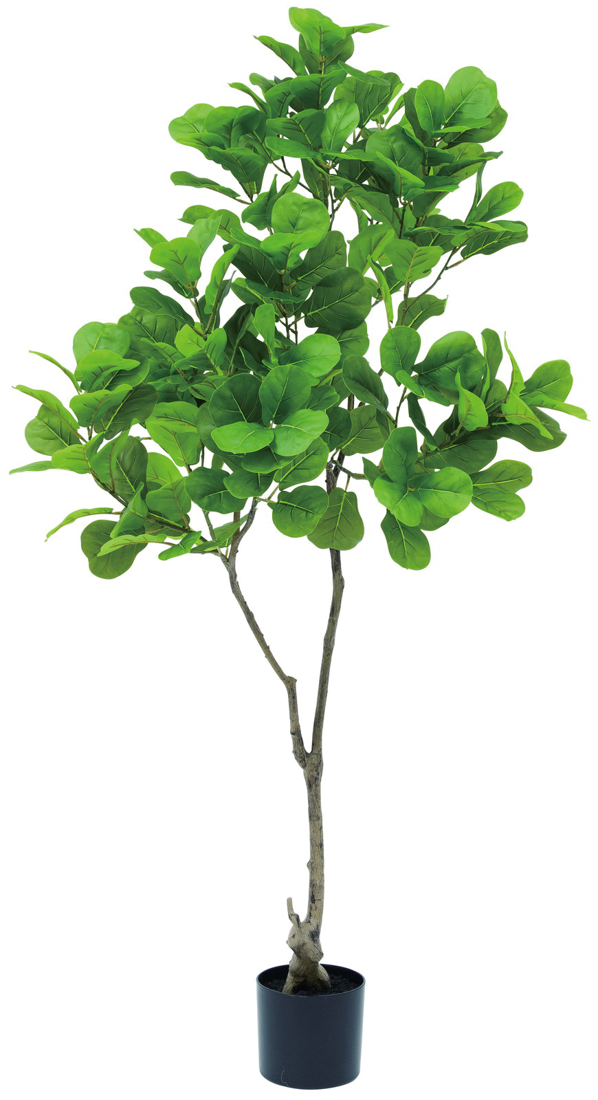 �y�l��z���s�z�y�ʓr����A�z�������ذ�150cm