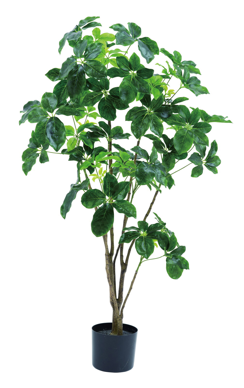 �y�l��z���s�z�y�ʓr����A�z�����120cm