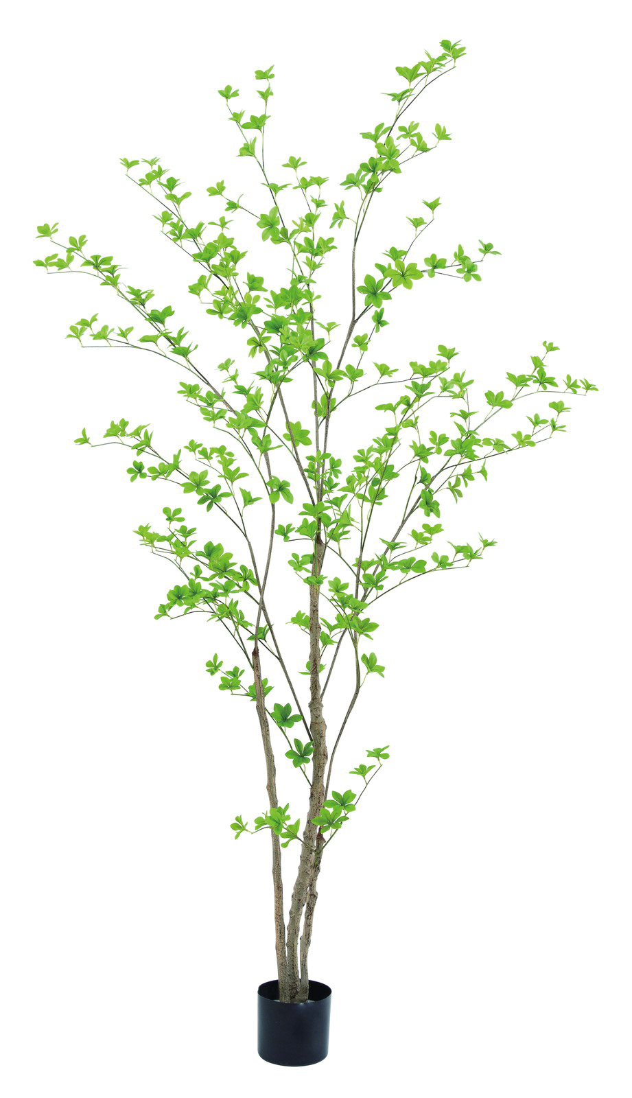 �y�l��z���s�z�y�ʓr����B�z�޳���210cm