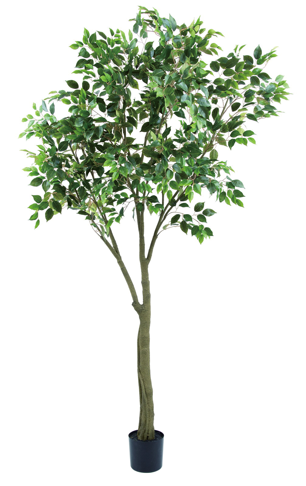 �y�l��z���s�z�y�ʓr����B�z�ެ����̨��240cm�g����