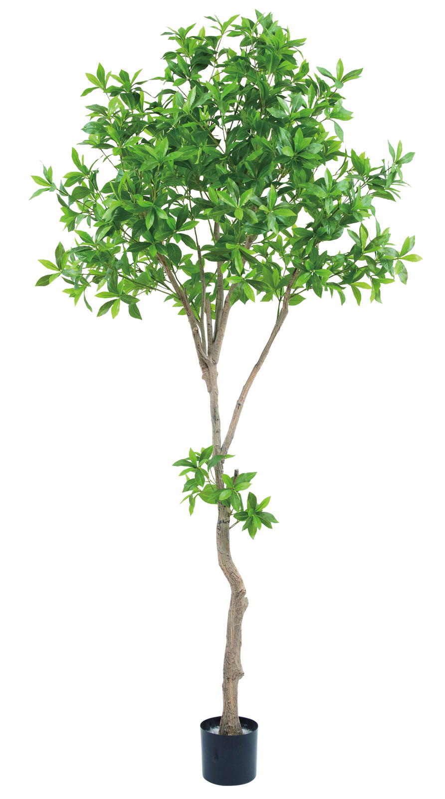 �y�l��z���s�z�y�ʓr����B�z����240cm