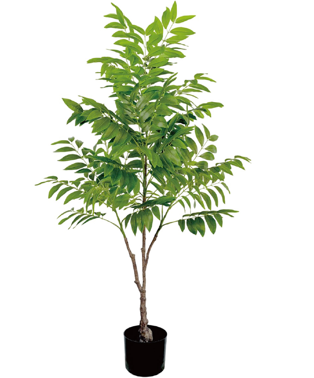 【個人宅配送不可】【別途送料A】ナンテンツリー125cm