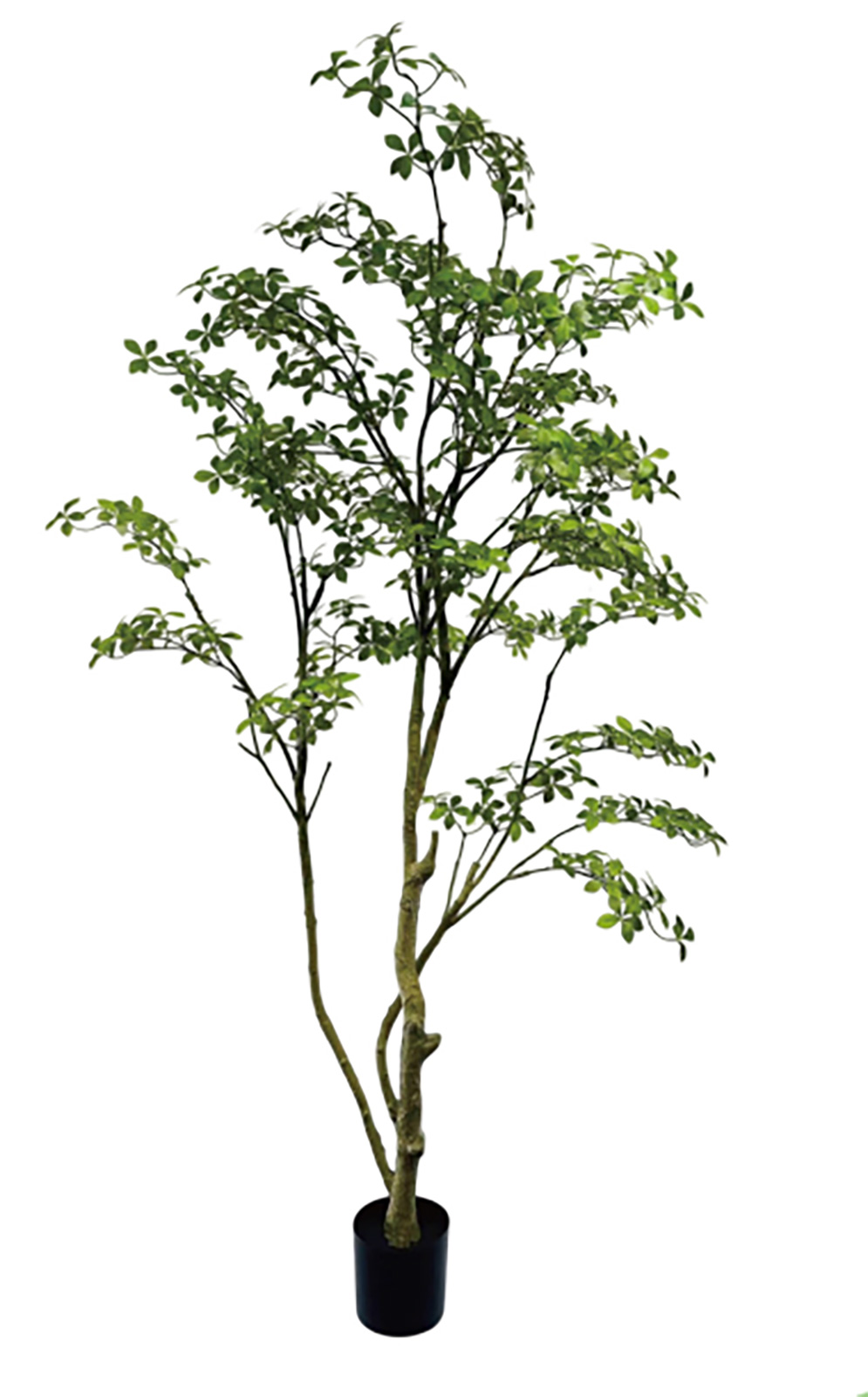 �y�l��z���s�z�y�ʓr����F�z�ް��Ʊ�ذ260cm��