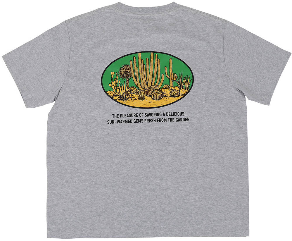 �y�l��s�zBOTANY T-SHIRT SAGUARO M/GY  [PX]
