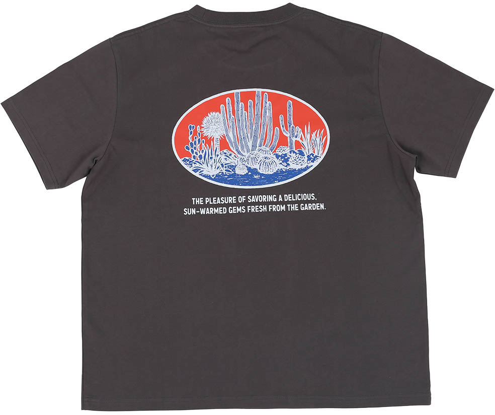 �y�l��s�zBOTANY T-SHIRT SAGUARO M/CH  [PX]