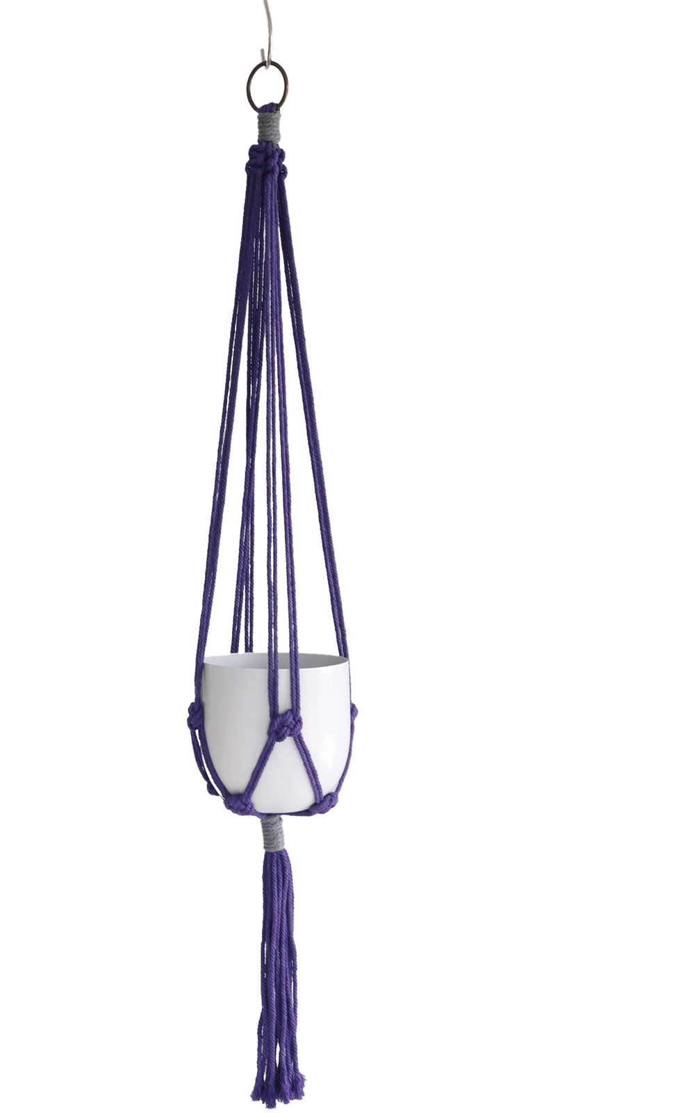 �y�l��z���s�z���ϸ�ҥ�ݸ��߯� purple