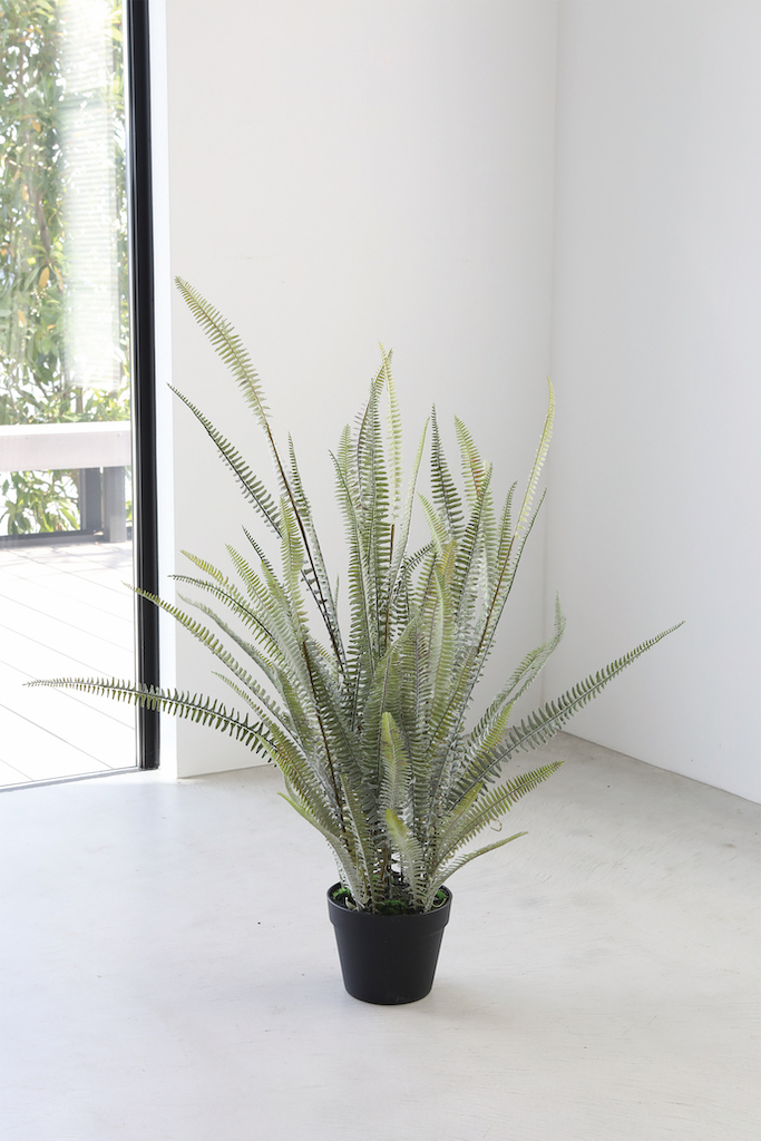 �y�l��z���s�z�ۯ���ް�߯�