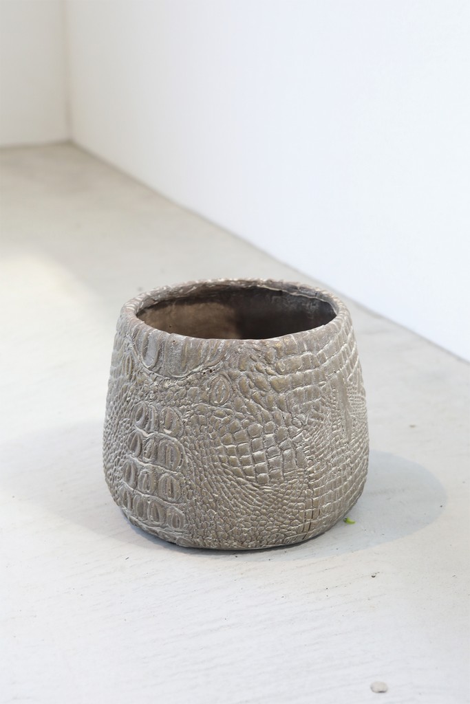 �y�l��z���s�z�X�L�[���E�{�g���|�b�gS