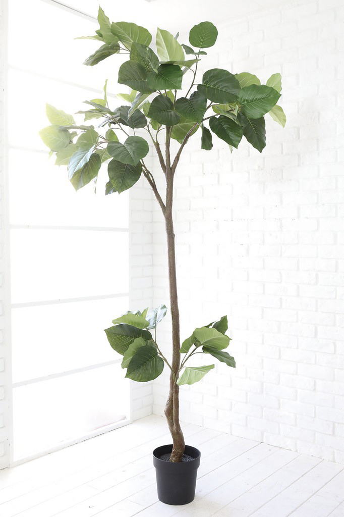 �y�l��z���s�z����װ��װ��