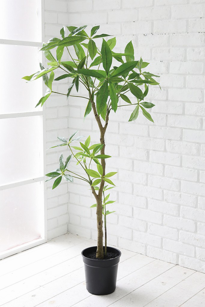 �y�l��z���s�z�߷�