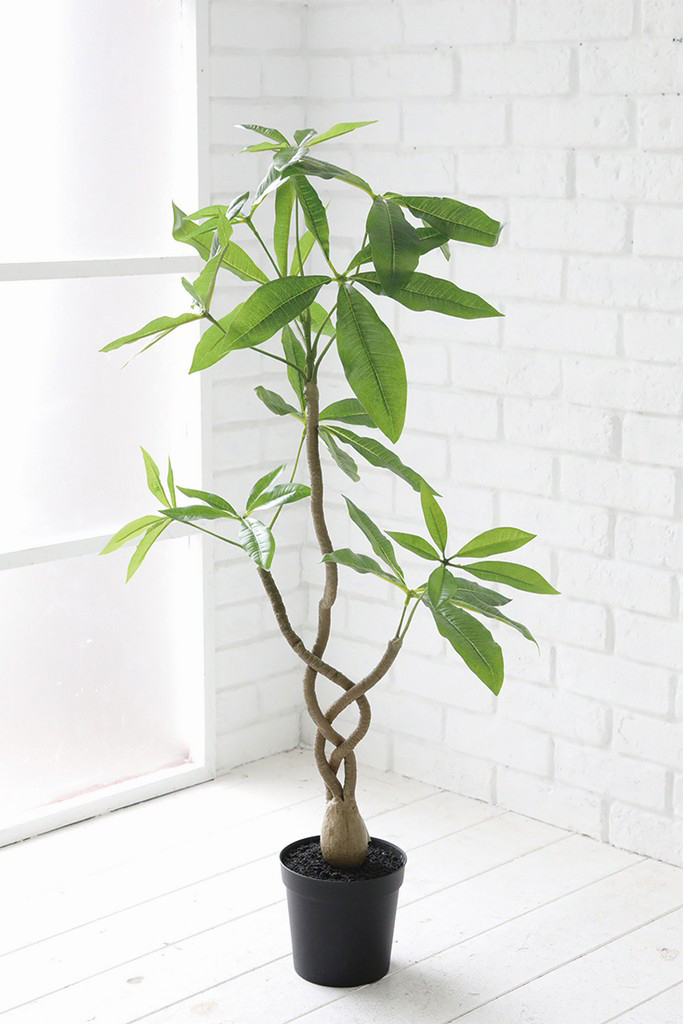 �y�l��z���s�z�߷ץ²��