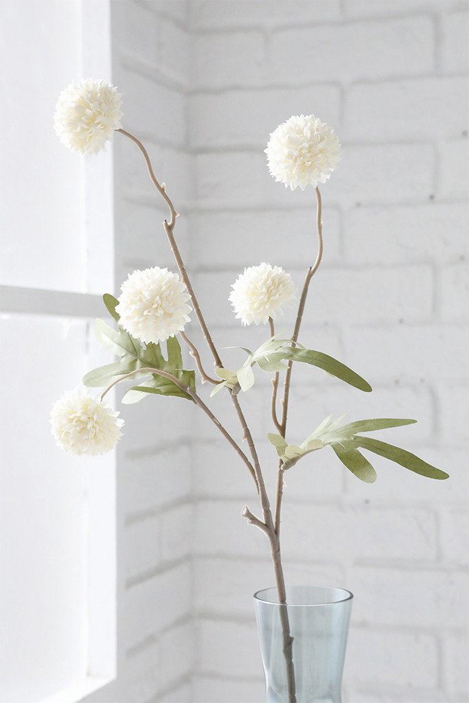 �y�l��z���s�z��������ܲ�