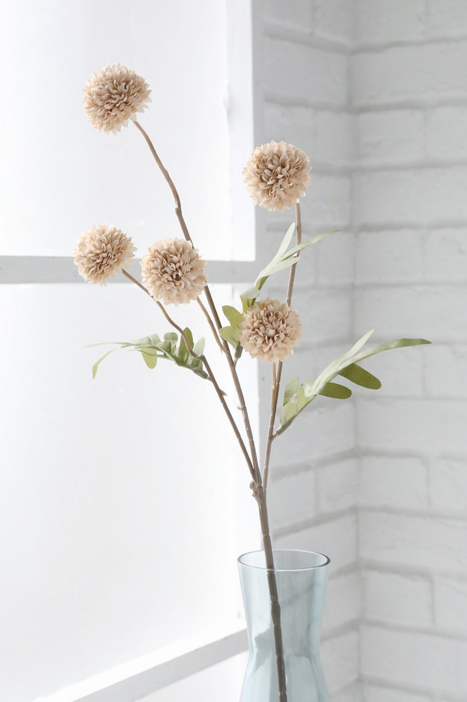 �y�l��z���s�z��������ذ�