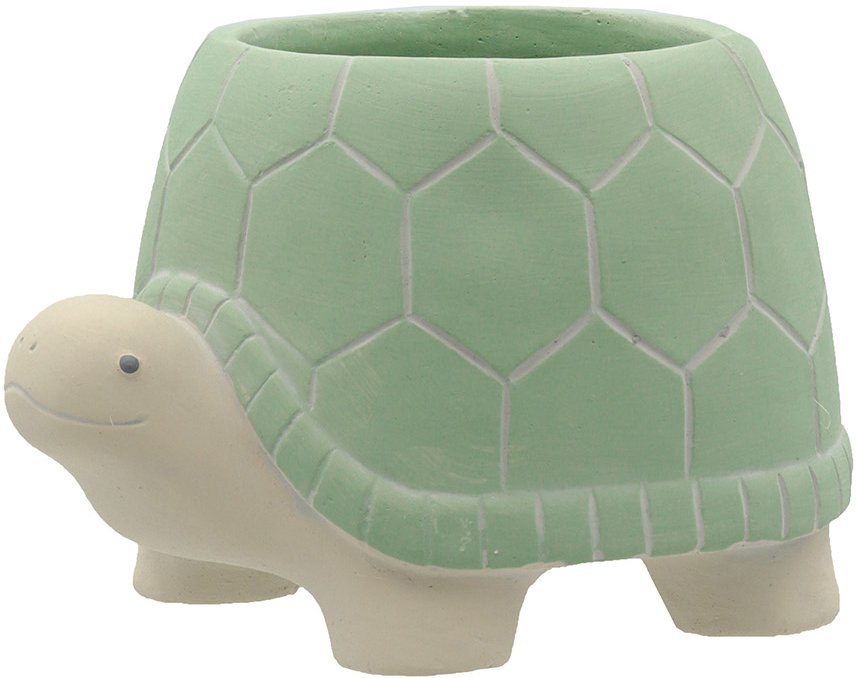 【個人宅配送不可】ドニーズタートルL-GR