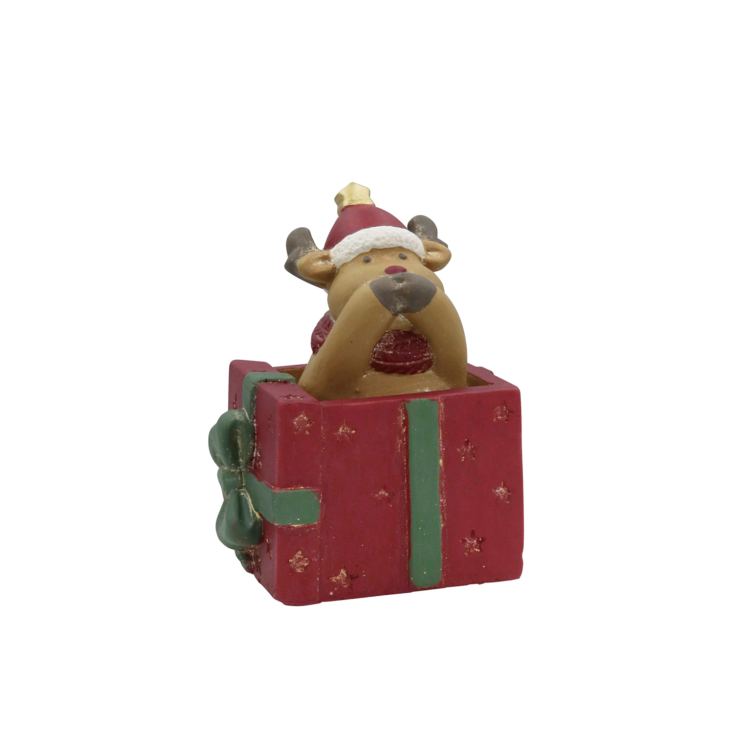 �y�l��z���s�zɴٵ�����25-Fڲ��ި��