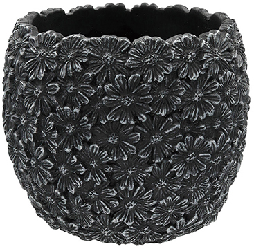 【個人宅配送不可】デイジーフラワーベーシックM-BK