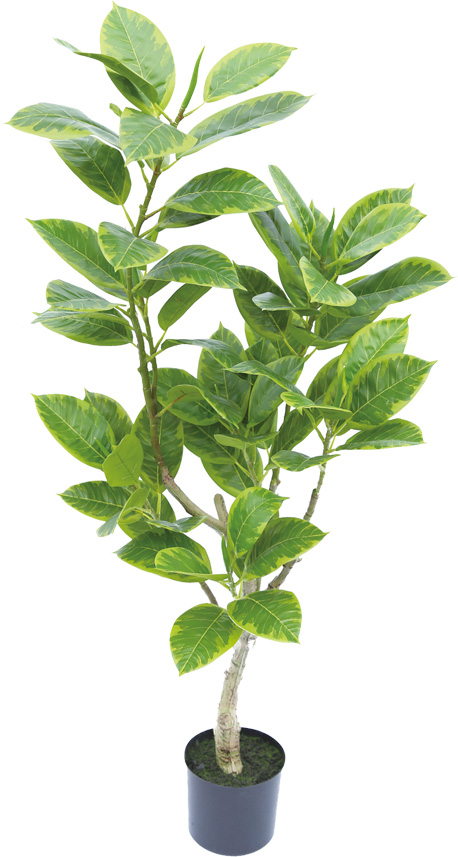 【個人宅不可】【別途送料】アルテシマ120