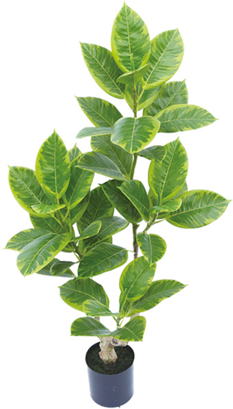 【個人宅不可】【別途送料】アルテシマ90