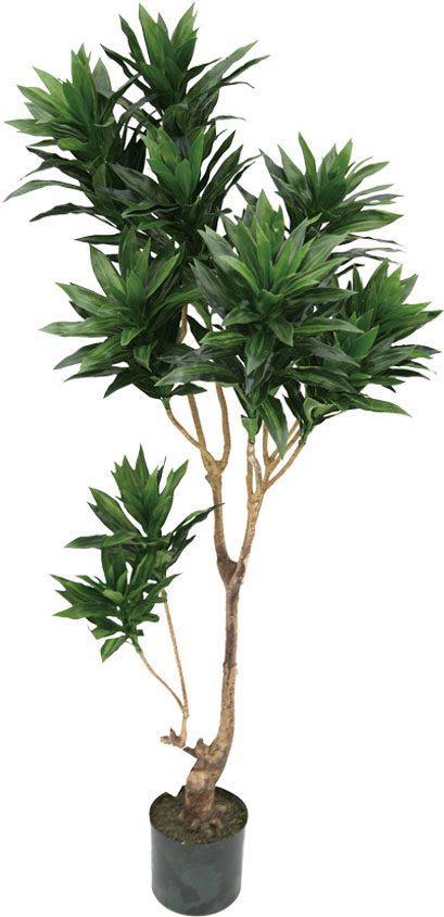 【個人宅不可】【別途送料】ジャマイカ125