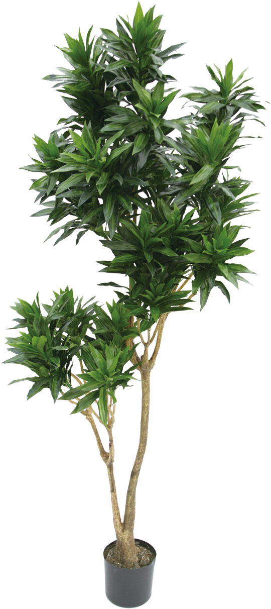 【個人宅不可】【別途送料】ジャマイカ180