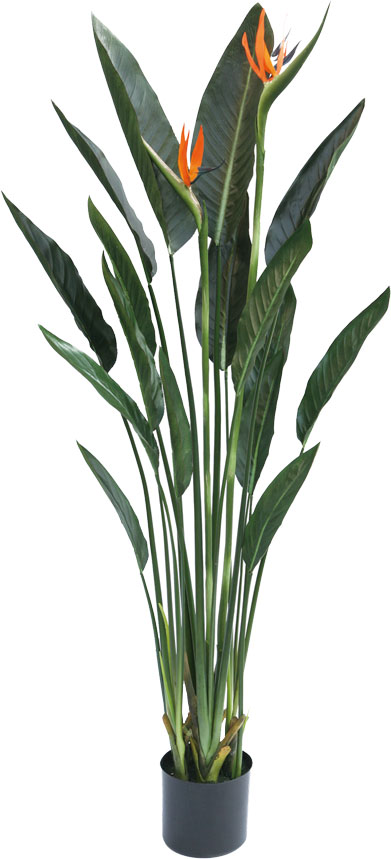 【個人宅不可】【別途送料】ストレチア130