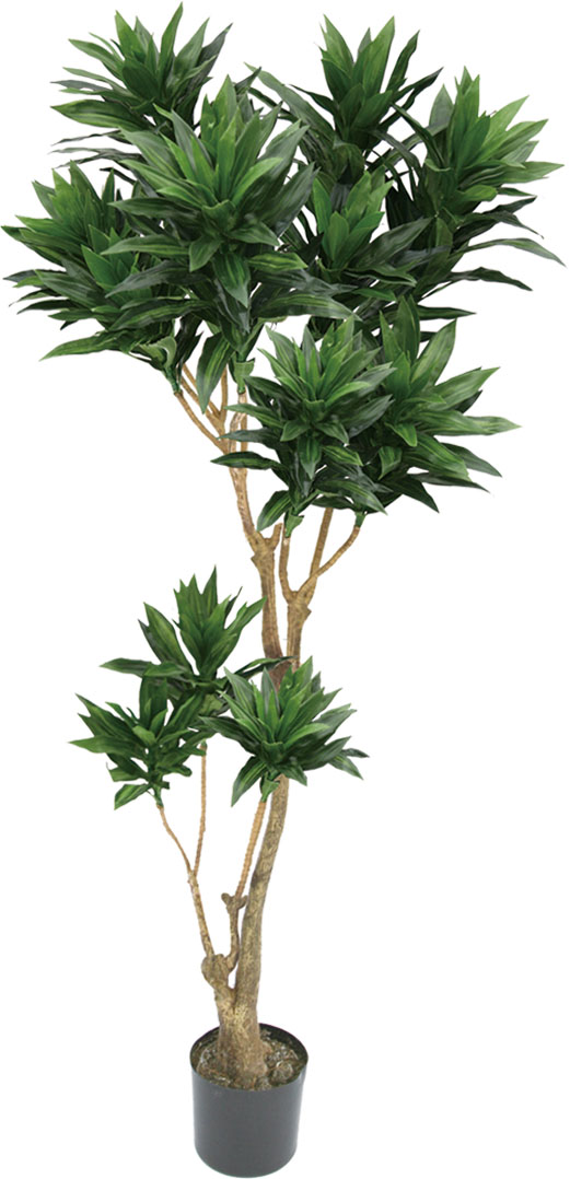 【個人宅不可】【別途送料】ジャマイカ155