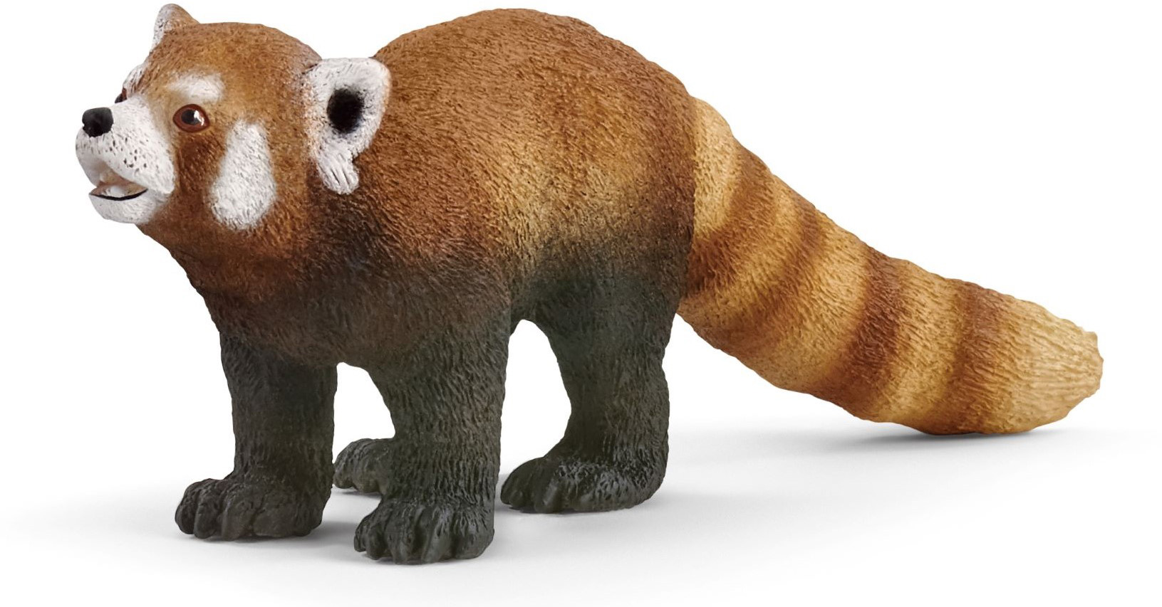 ▲レッサーパンダ