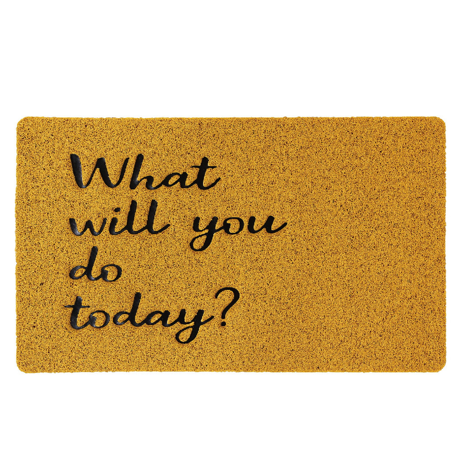 ylzsz(2)ӂӂ׽ϯ What will you do today