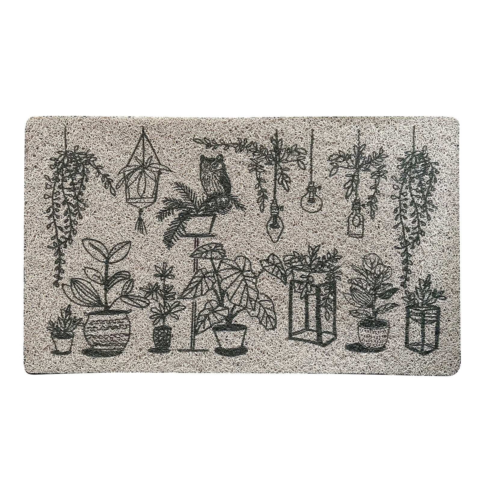 �y�l��z���s�z̶̶�׽ϯ� Houseplants 7