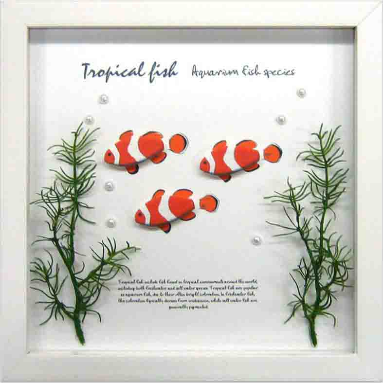 【個人宅配送不可】Aqua Frame