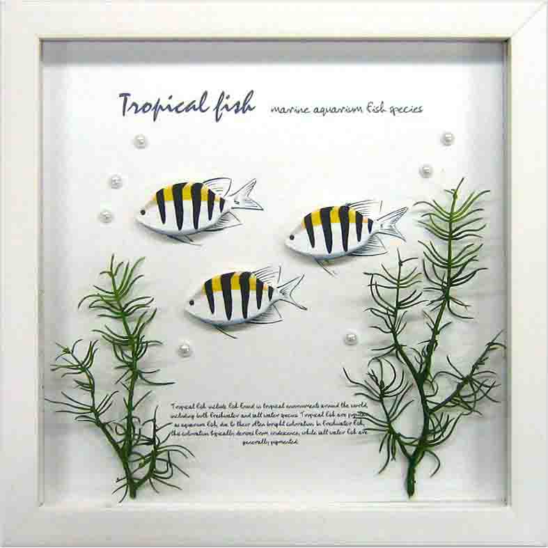 【個人宅配送不可】Aqua Frame