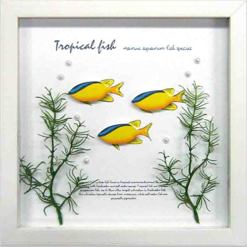 【個人宅配送不可】Aqua Frame