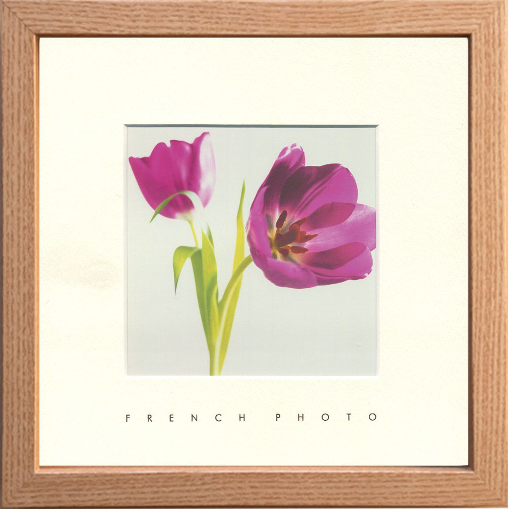 【個人宅配送不可】French Photography