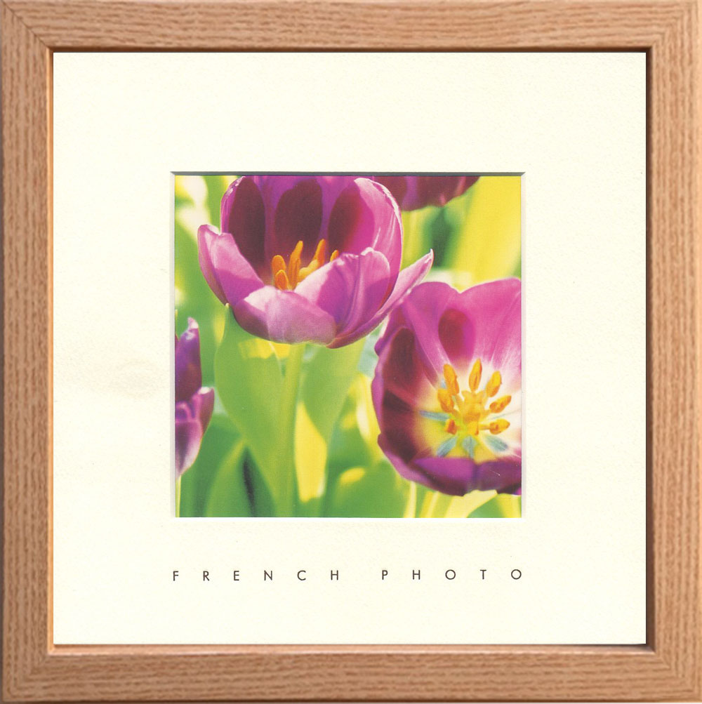 【個人宅配送不可】French Photography