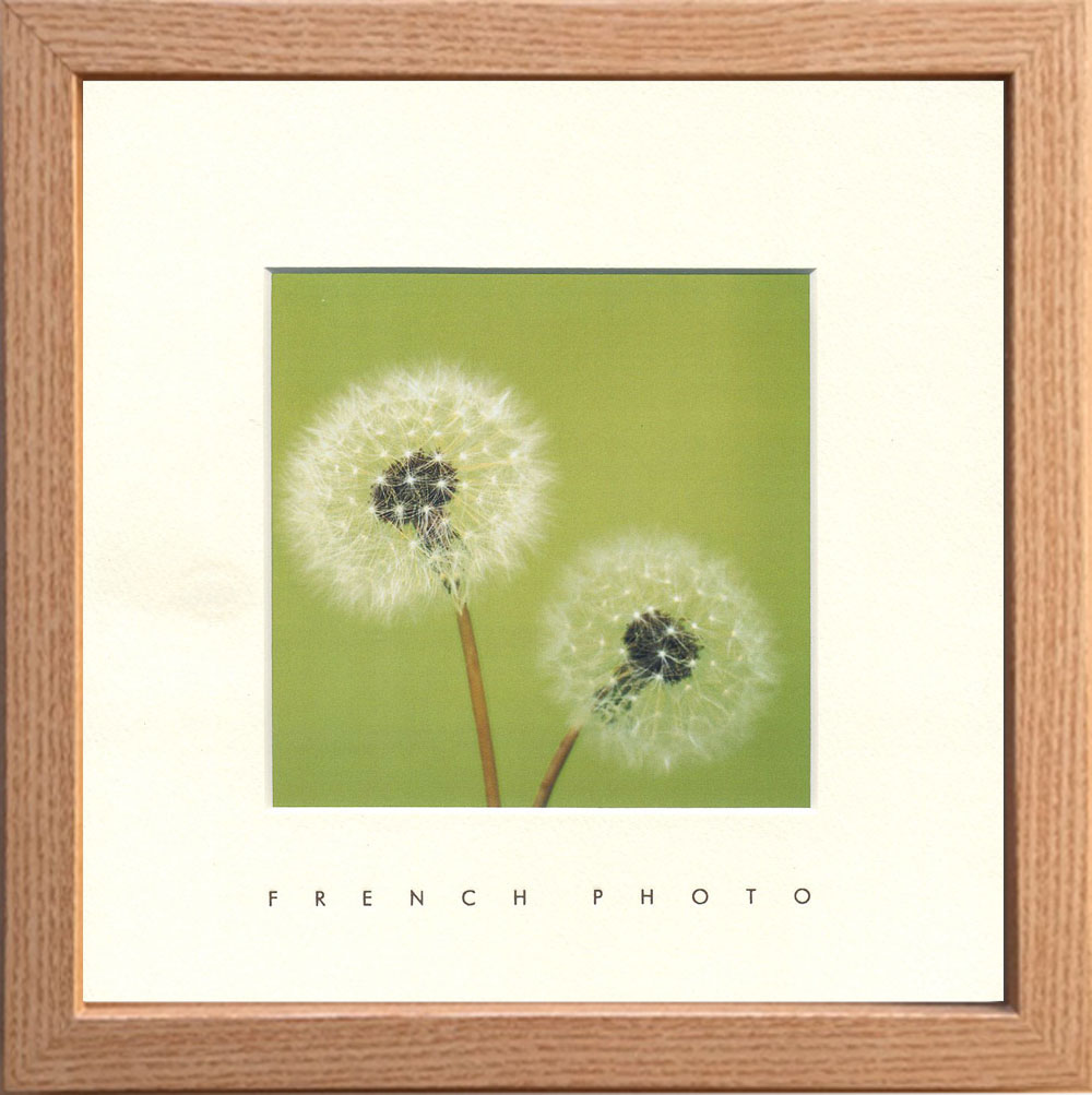 【個人宅配送不可】French Photography