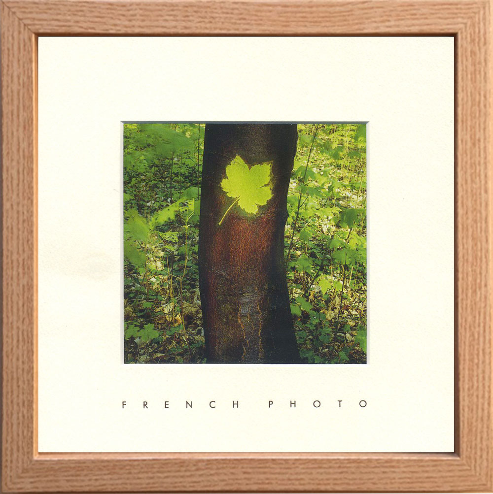 【個人宅配送不可】French Photography