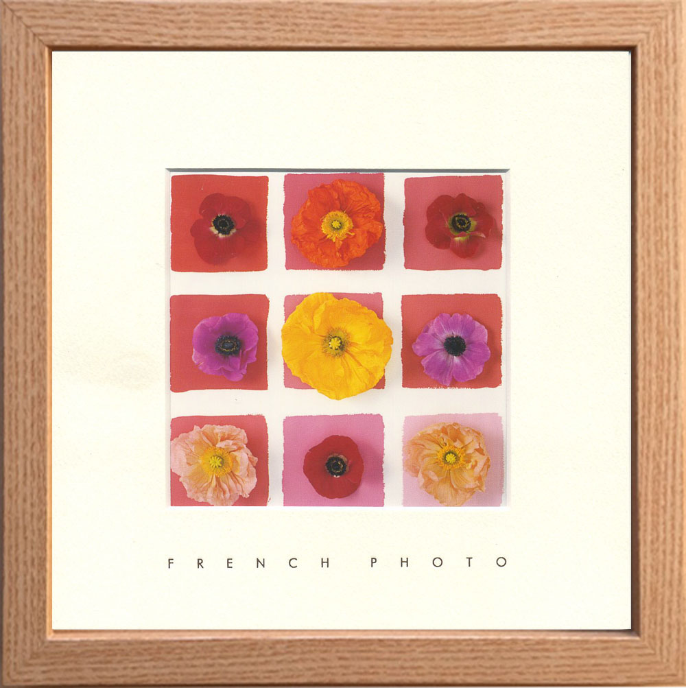 【個人宅配送不可】French Photography