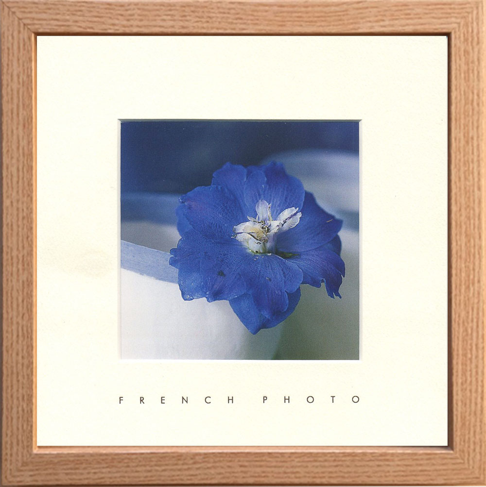 ylzszFrench Photography